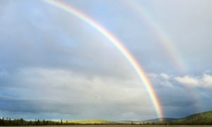 After rain comes shine, and we see loads of rainbows...