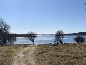 Spring is in the air, but in secluded bays, the ice still covers the sea.