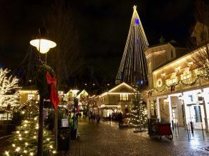 Liseberg at Christmas. The park presents itself in a very different costume. Photo: private