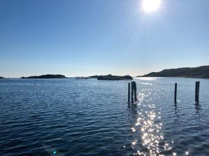 This summer was unusual with ocean temperatures above 22 C (71.6F) making a swim after work a real pleasure.